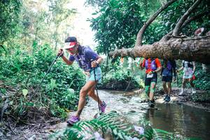 BIB: 
                            <button type="button" onclick="openModal(25439237)" class="btn btn-primary btn-sm float-right btn-popup" data-toggle="modal" data-target=".modal-high-quality">
                        <i class="fas fa-shopping-cart"></i> Add to Cart
                    </button>
                                            <button type="button" onclick="isThisMe(25439237, true)" class="btn btn-success btn-sm float-right btn-popup btn-isme hidden" data-toggle="tooltip" data-placement="bottom" title="นี่คือรูปของคุณใช่ไหม คลิกที่นี่เพื่อเอาเข้าอัลบั้ม">
                        <i class="fas fa-plus"></i> Add to album
                    </button>
                    <button type="button" onclick="isThisMe(25439237, false)" class="btn btn-warning btn-sm float-right btn-popup btn-isnotme hidden">
                        <i class="fas fa-ban"></i> Remove from album
                    </button>